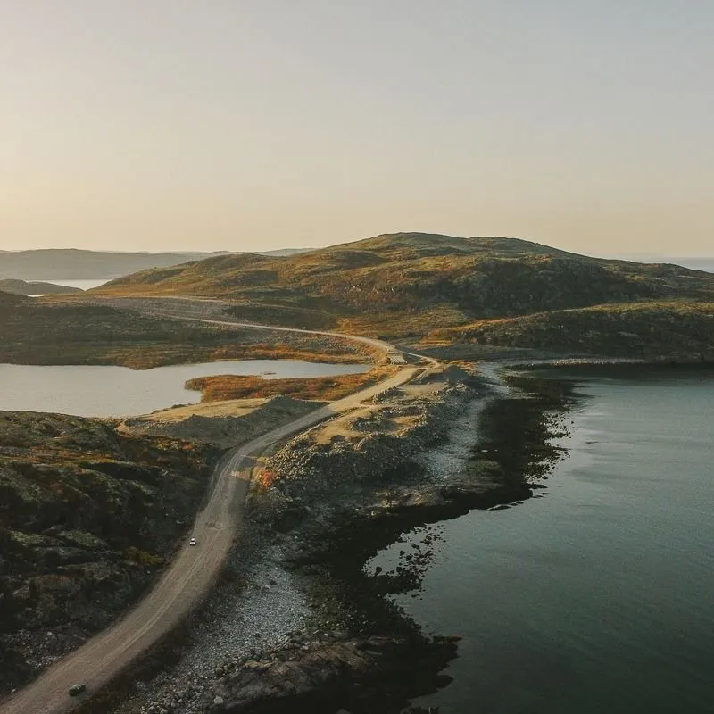 Увидеть китов