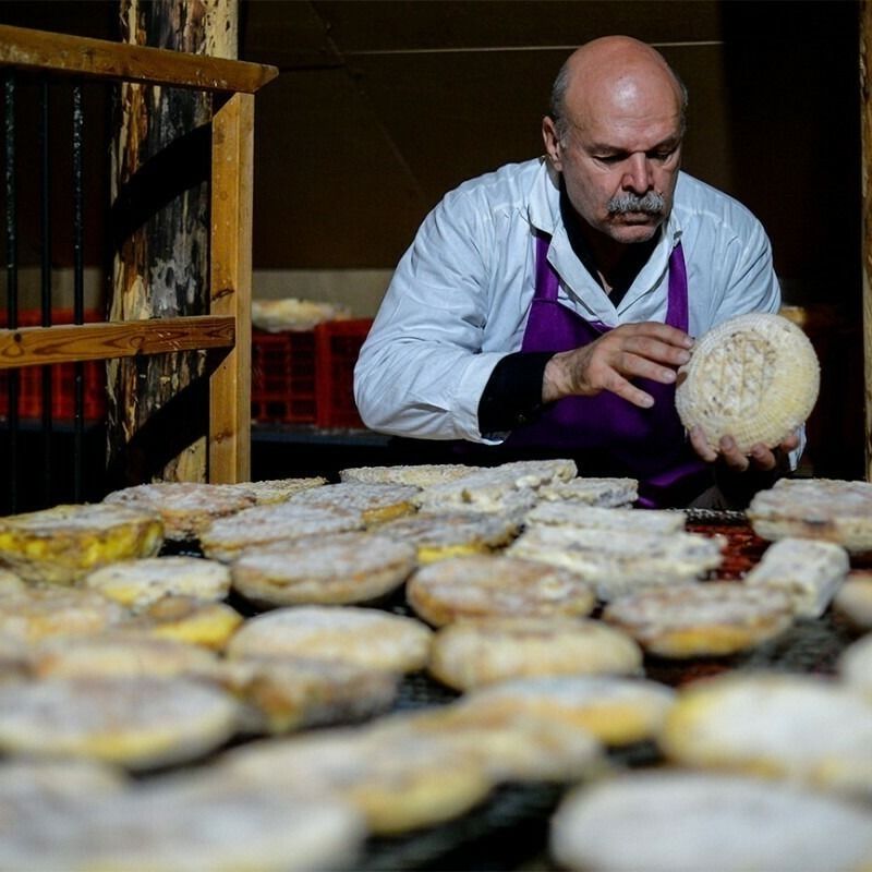 Производство сыра по французским традициям