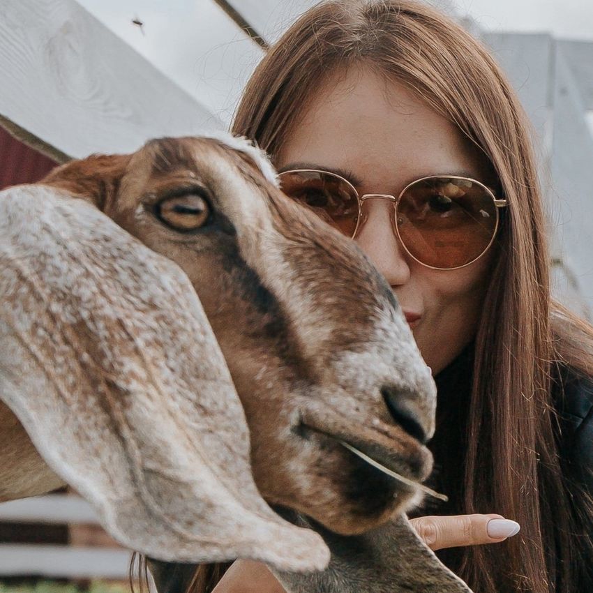 Вкусные приключения на сырной ферме