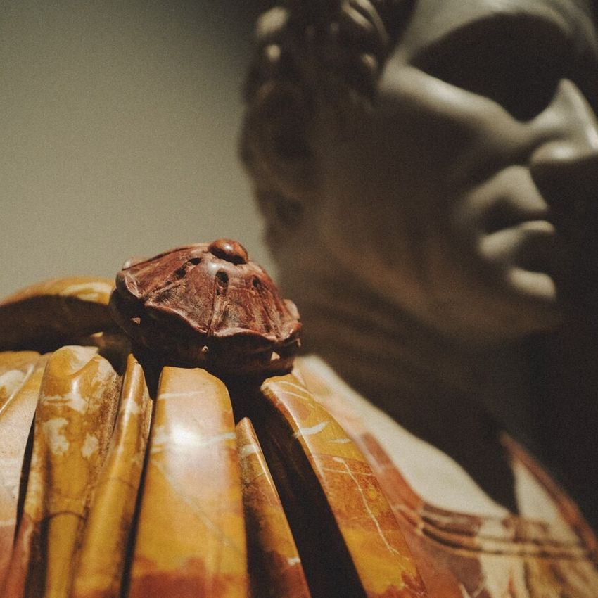 Экскурсия по музею виноградарства и виноделия