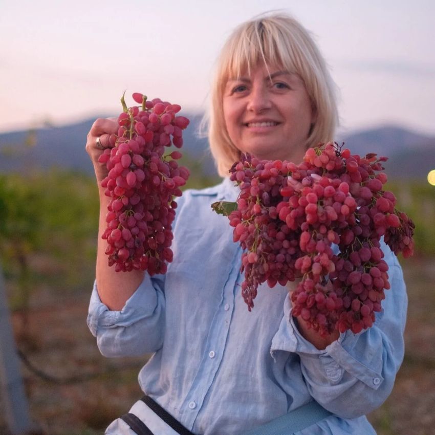 Пикник на Семейной винодельне «Grimbor-Winery»