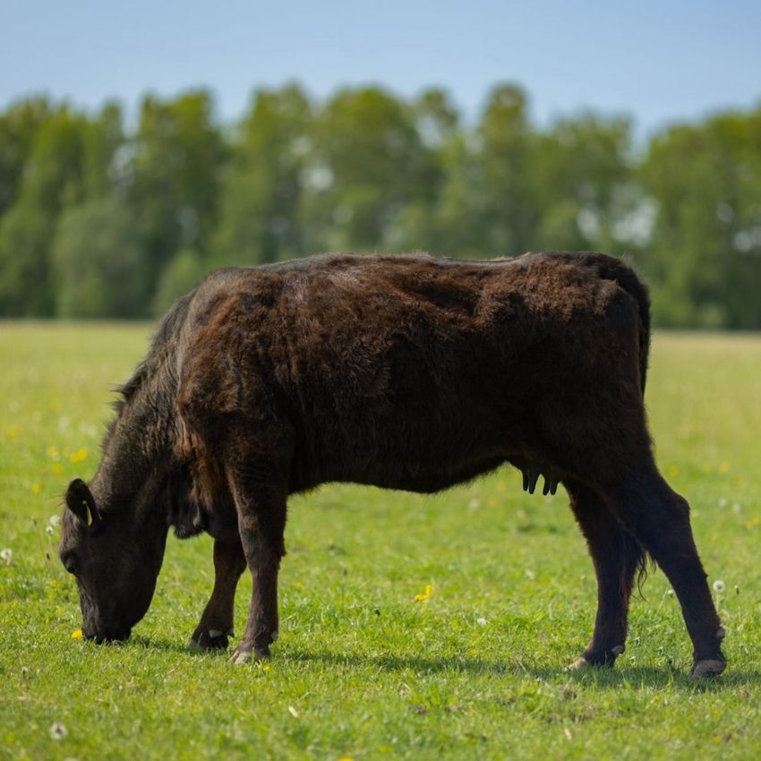 Путешествие в мир органики