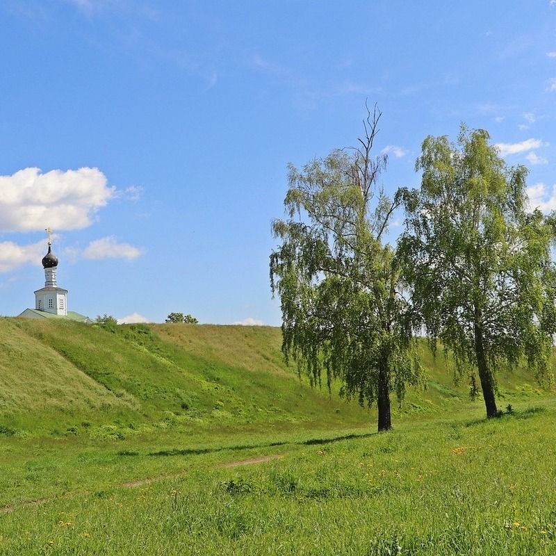 На родину Есенина