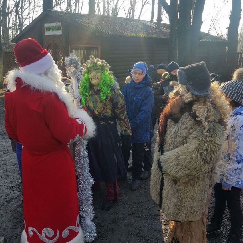 Приключения в волшебном лесу