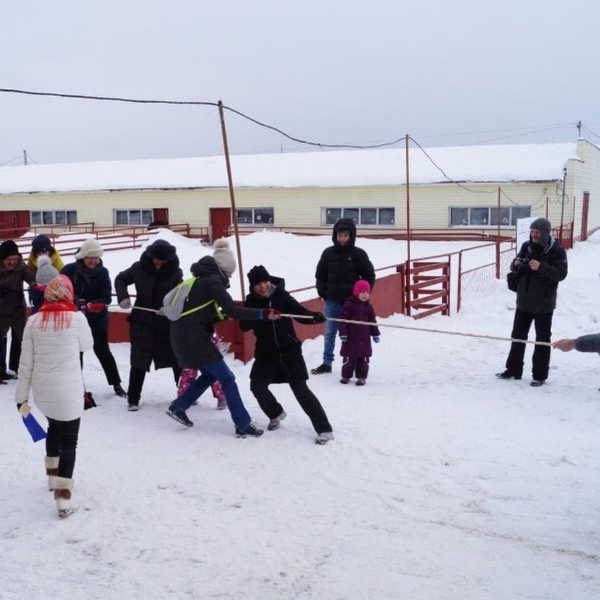 Новогодние каникулы на ферме «Русский страус»