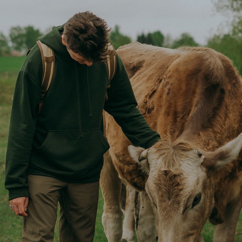 Посещение фермы «в Дали»