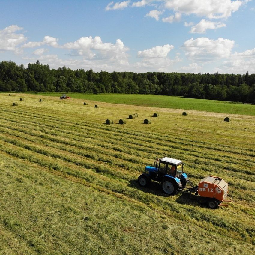 Выходной день на технологичной ферме