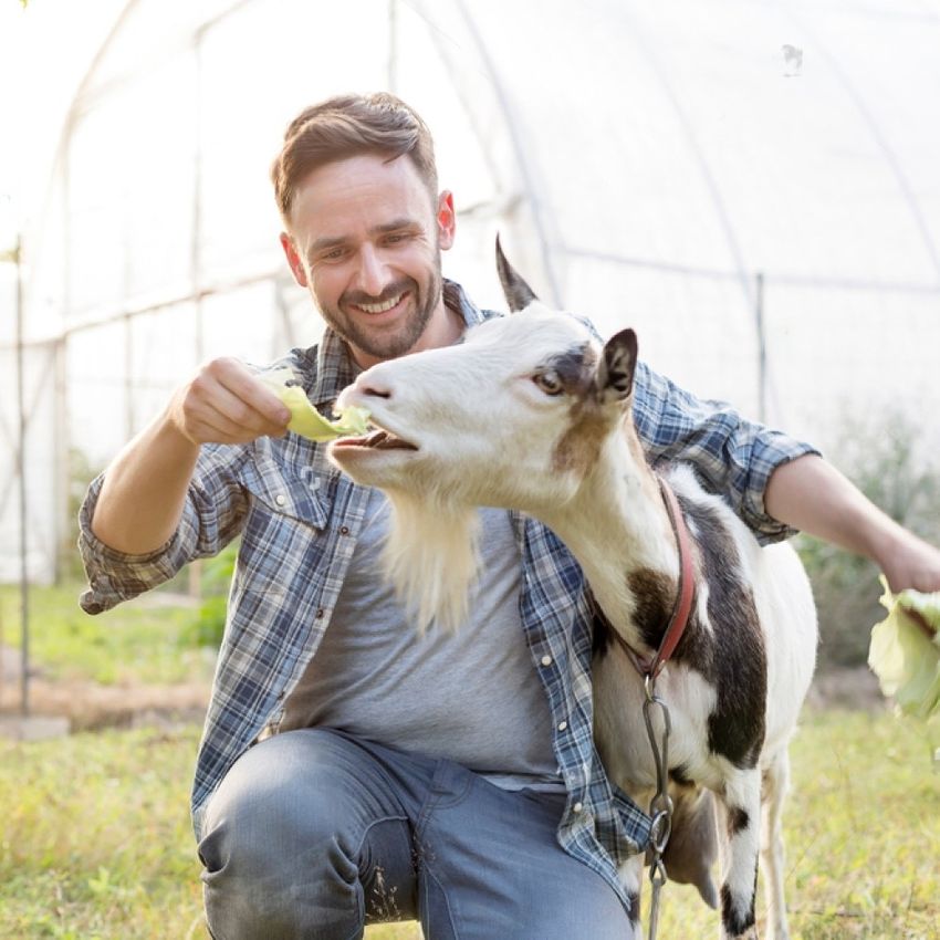 День пастуха